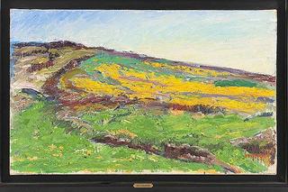 Slope with Yellow Flowers
