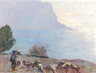 Sheep in Cassis