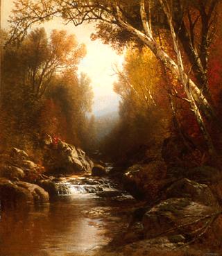 A Forest Stream