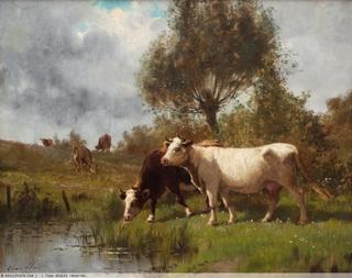 Cows at a Watering Place