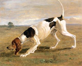 A Pointer in a Landscape
