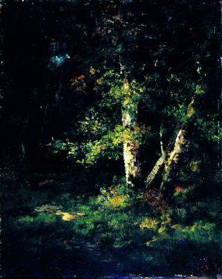 Forest Scene