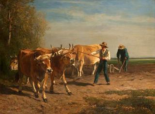 Cattle Ploughing