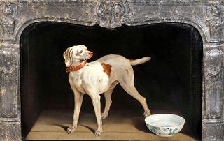 Dog with a bowl