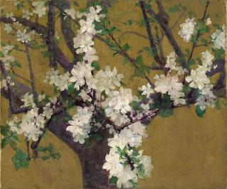 Almond tree in blossom (Amandier en fleur)