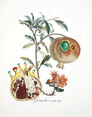 The Pomegranate and the Angel
