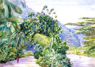 The Bog-Walk, Jamaica, with Bread Fruit, Banana, Cocoanut and Other Trees