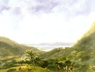 View of Rio de Janeiro bay from the mountains in Tijuca