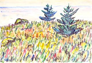 35号水彩画，有两棵松树的田野