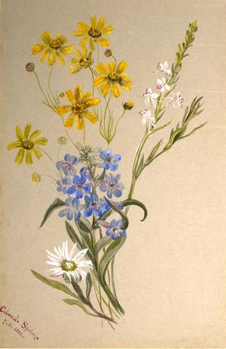 Group of Flowers