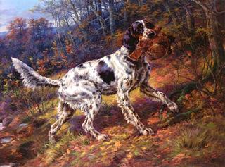 English Setter with Grouse