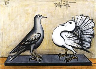 Grey Pigeon and Fantail Pigeon