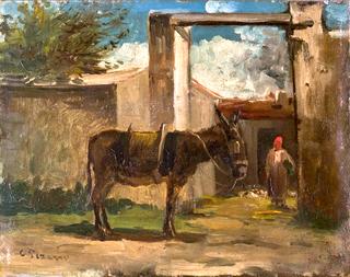 在农场前面的驴子，蒙莫伦西