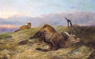 Dead Stag with a Fox in a Field