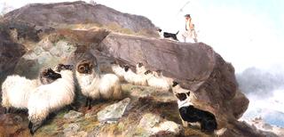 Sheep Gathering, Isle of Skye