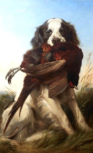 Setter with a Pheasant