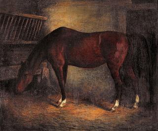 Horse in the Stable