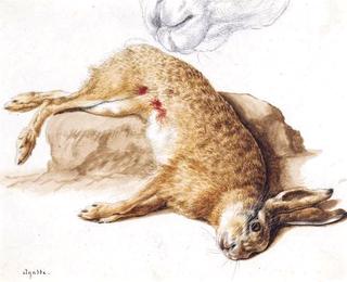 Still Life of a Dead Hare with a Study of Its Nose