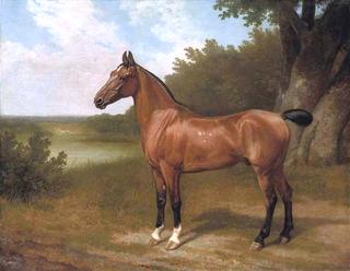 Lord Bingley's hunter in a wooded river landscape