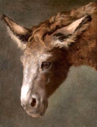 A Study for the Head of a Donkey