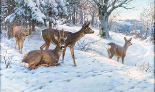 Deer in a Winter Landscape