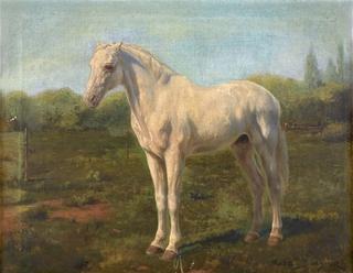 Horse in a Landscape