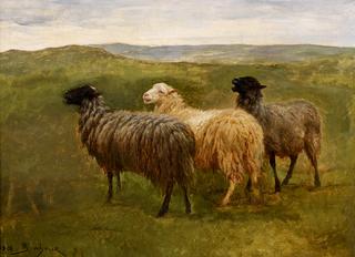 Three Sheep in a Landscape