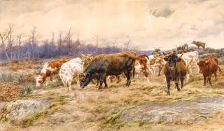 Cattle Grazing in a Winter Landscape