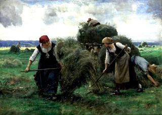 The Hay Harvest
