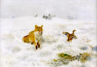 Fox and Mallard on a Winter Day