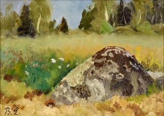 Stone in the Field