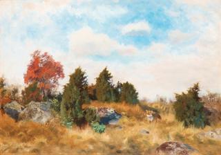 Autumn Landscape with Fox