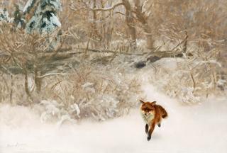 Fox in a Winter Landscape