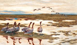 Geese in a Landscape