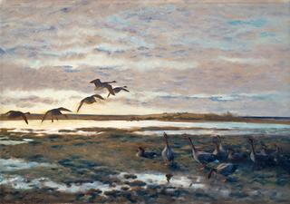 Geese in the Field