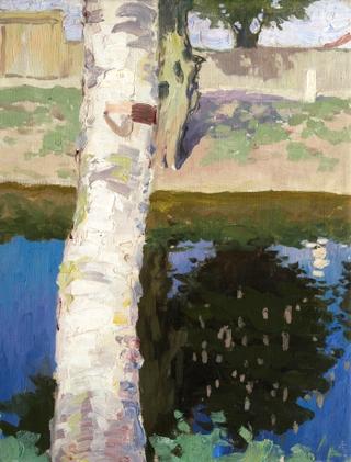 Birch by the River