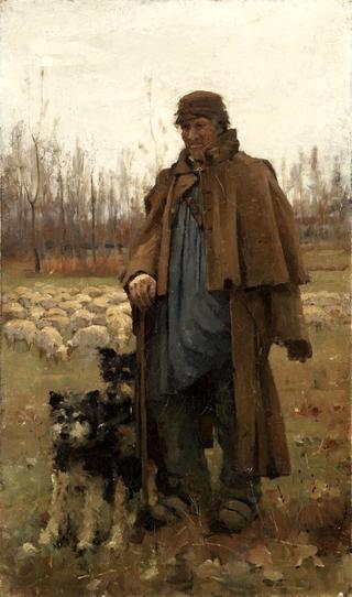 A Normandy Shepherd