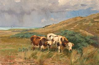 Two Grazing Cows on the Coast