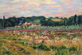 Field in Épinay-sur-Orge, Evening