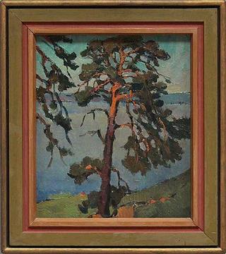 Pine at Wannsee