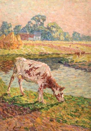 Cow on the Banks of of the Lys