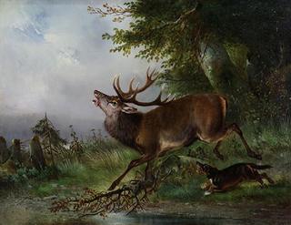 Pursuing a Stag
