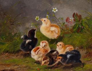 Six Baby Chicks