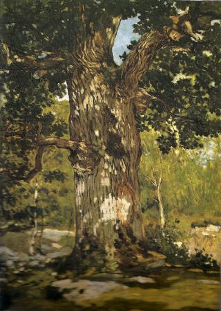 Chêne au Bas-Bréau, le Bodmer (The Bodmer Oak)