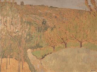 Orchard on a hillside