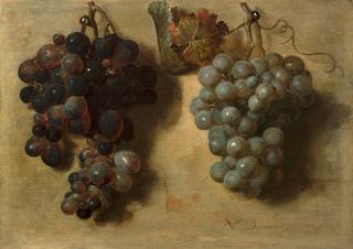 Two bunches of Grapes