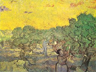 Olive Grove with Pickers