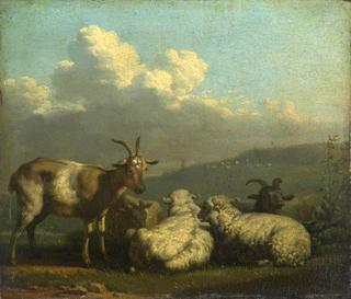 绵羊和山羊