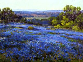 Bluebonnets, Late Afternoon, North of San Antonio