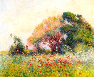 Field of Poppies and Umbels near Batz-sur-mer
